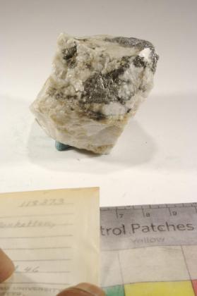 Hammarite and Friedrichite