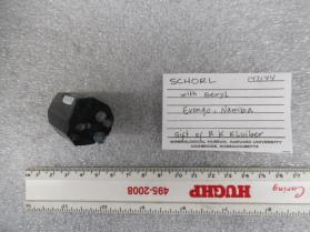 Schorl