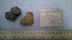 Chromite nodules from clay