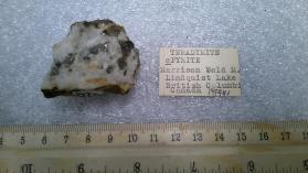 Teradymite containing Pyrite