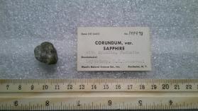 Corundum var: Sapphire with Kyanite, Fuchsite
