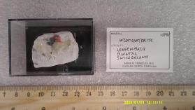 Incomsartorite