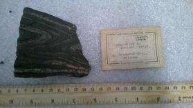 Magnetite in contact schist.