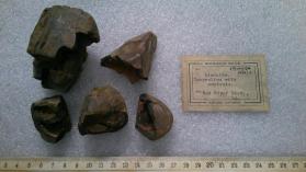Limonite. Concretion with contents