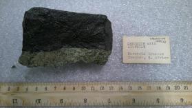 Chromite with diopside