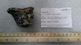 Tenorite