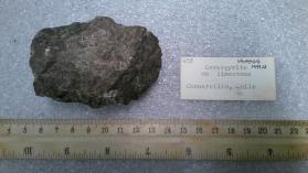 Cerargyrite on limestone