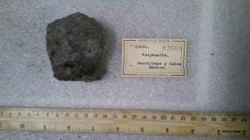 Polybasite