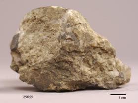 Allanite