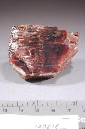 Tantalite-(Mn)