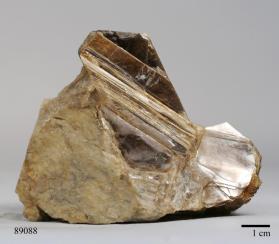 Muscovite