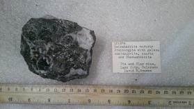 freibergite