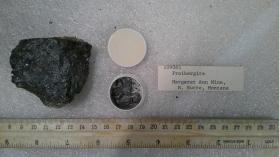 Freibergite