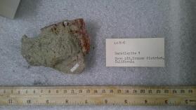 Gerstleyite