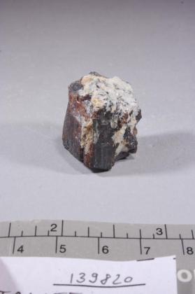 Tantalite-(Mn)