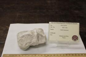 Limestone, Fossiliferous Microgranular