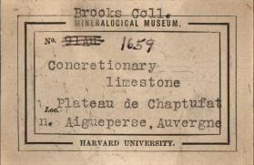 Concretionary Limestone