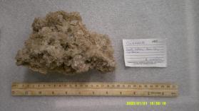 Colemanite