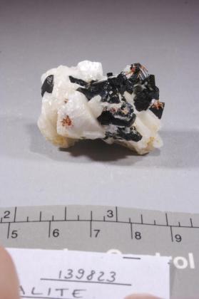 Tantalite-(Mn)