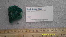 Apple Green Xtls?