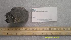 Plata