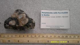 Molybdenite with Pyrrhotite & Biotite