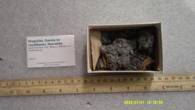 Siegenite, Galena on cauliflower, Marcasite