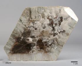 Muscovite