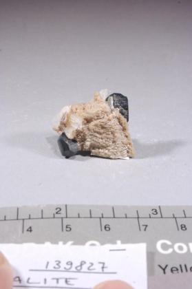 Tantalite-(Mn)