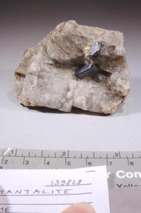 Tantalite-(Mn)