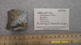 whelanite