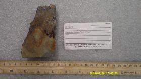 Fettelite with CALCITE and Palygorskite and Proustite