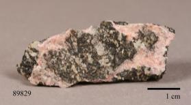 BUSTAMITE