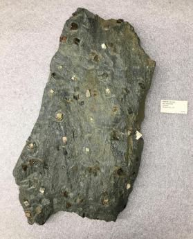 Pyrite with Magnetite