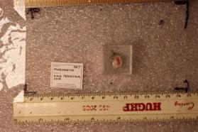 Murmanite