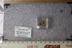 Thalfenisite