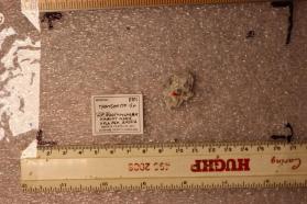 Thomsonite-Sr