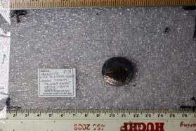 Hawleyite with Taimyrite and Majakite
