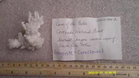 aragonite-coralloidal