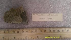 Halite