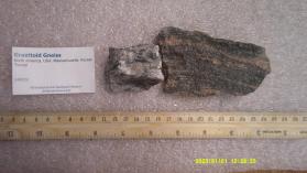 Granitoid Gneiss