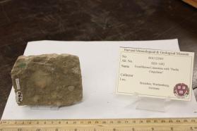 Limestone, Fossiliferous Microgranular