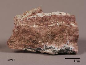 Leucophoenicite