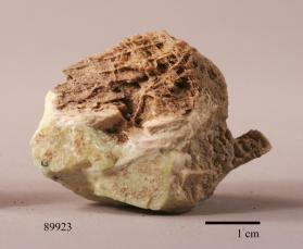 Leucophoenicite