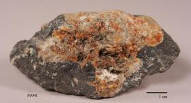 Chlorophoenicite