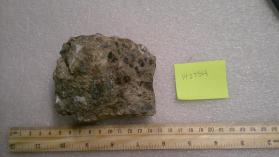vorhauserite