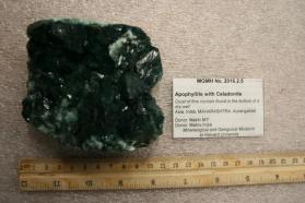 Apophyllite with Celadonite