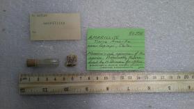 Amarillite