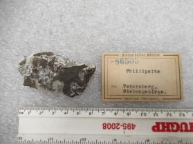 Phillipsite