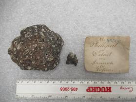 Phillipsite